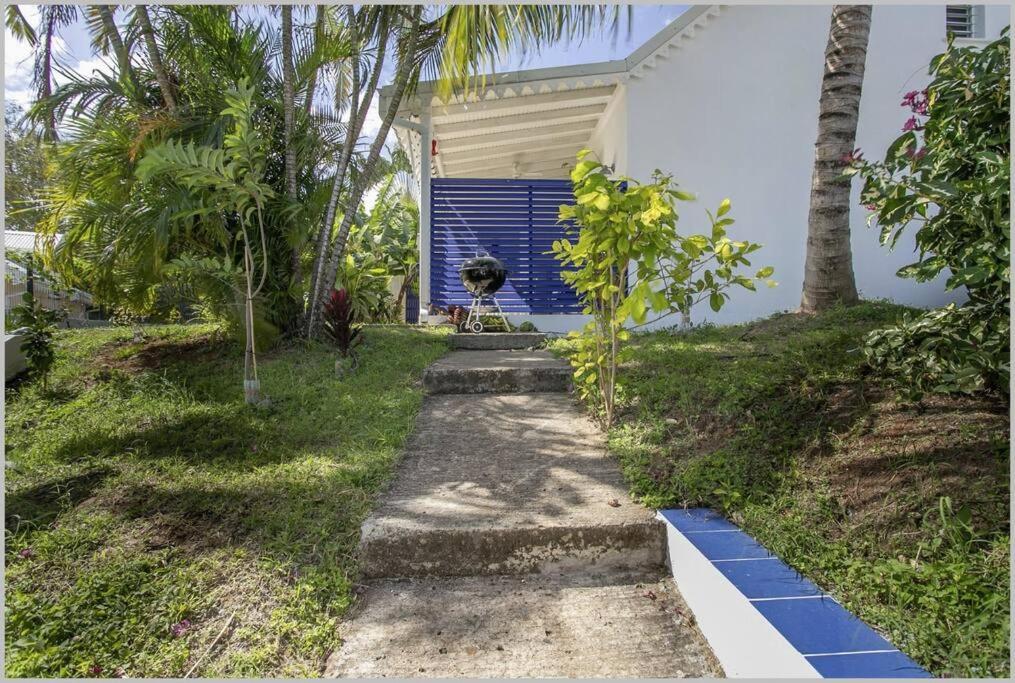 Villa Mango 150 Metres Plage A Pied Сент-Люс Экстерьер фото
